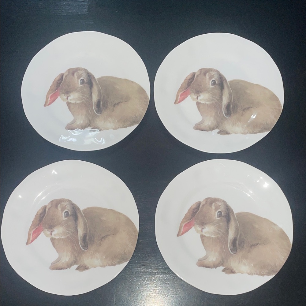 (4) 208Park 9” Rabbit Design Plates